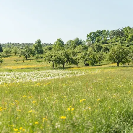 Restaurant Zehn-brunnen Hotel Renningen